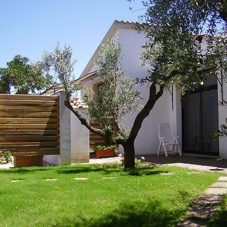 Podere Belvedere Cecina Cecina  Dış mekan fotoğraf