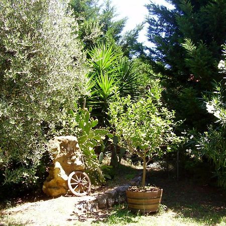 Podere Belvedere Cecina Cecina  Dış mekan fotoğraf
