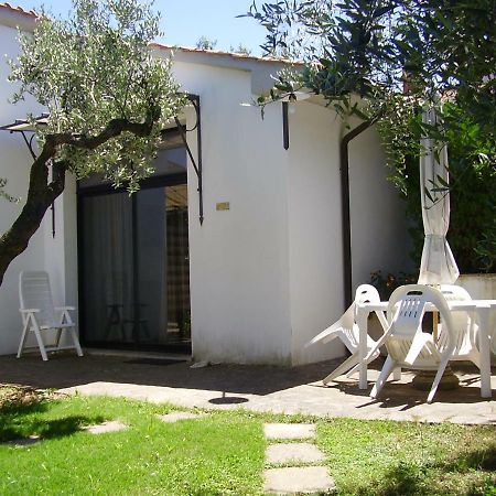 Podere Belvedere Cecina Cecina  Dış mekan fotoğraf