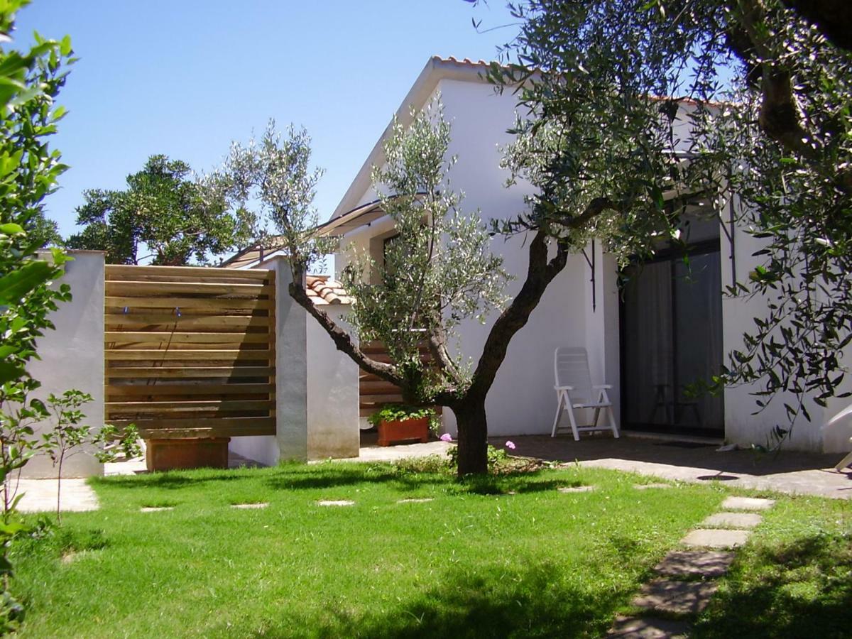 Podere Belvedere Cecina Cecina  Dış mekan fotoğraf