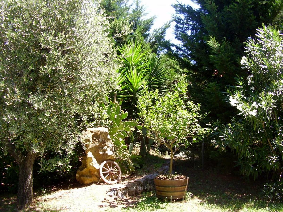 Podere Belvedere Cecina Cecina  Dış mekan fotoğraf