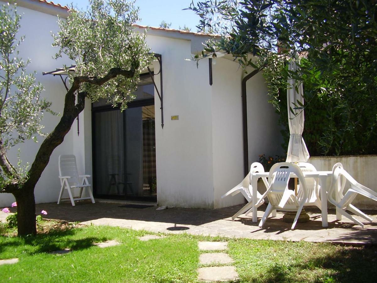 Podere Belvedere Cecina Cecina  Dış mekan fotoğraf