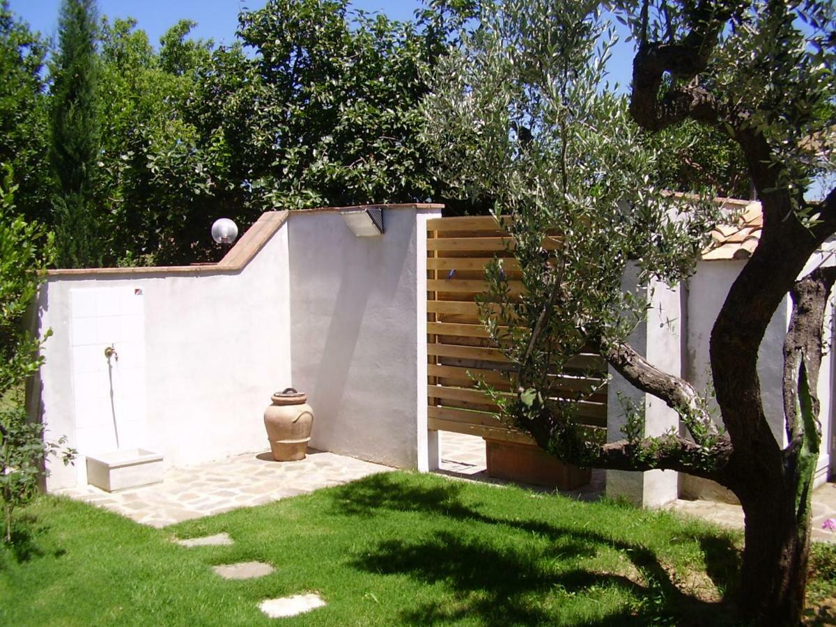 Podere Belvedere Cecina Cecina  Dış mekan fotoğraf