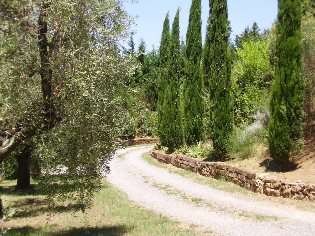 Podere Belvedere Cecina Cecina  Dış mekan fotoğraf